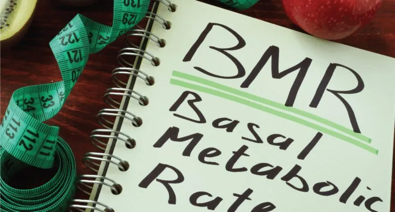 bmr calculator