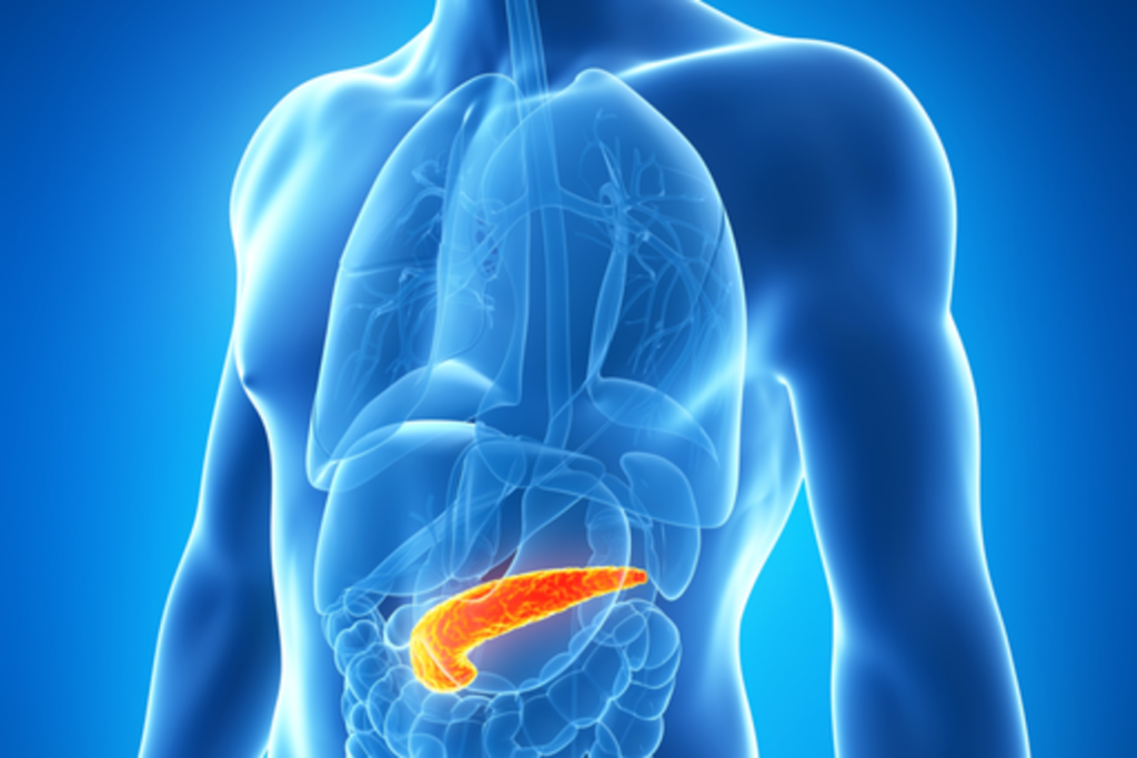 pancreas involved in diabetes