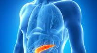 pancreas involved in diabetes