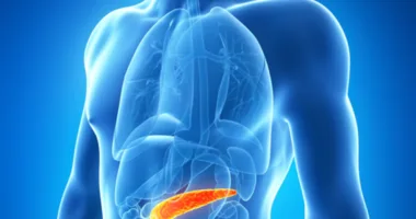 pancreas involved in diabetes