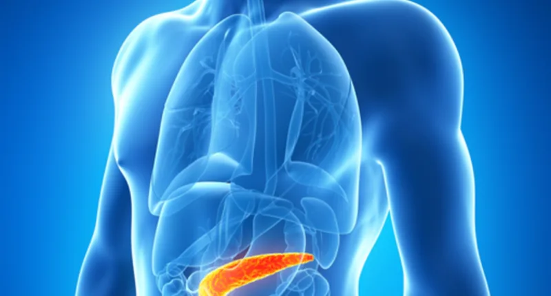 pancreas involved in diabetes