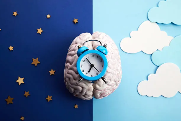 sleep calculator
