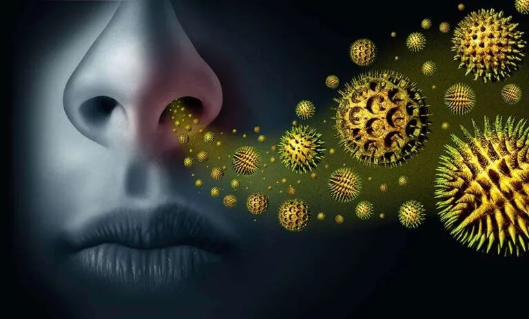 Pollen Allergies