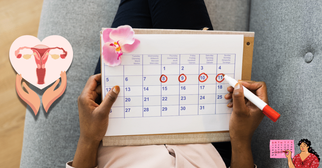 work with your period, menstrual cycle productivity, cycle syncing, phases of menstrual cycle, hormones and productivity
