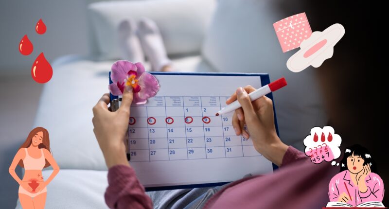 work with your period, menstrual cycle productivity, cycle syncing, phases of menstrual cycle, hormones and productivity